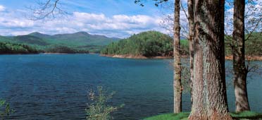 Photo of shoreline of hiwassee reservoir