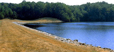 photo of ducks in a reservoir